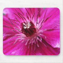 Flor rosada Mousepad del Clematis Alfombrilla De Ratones