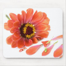 flor tapete de raton