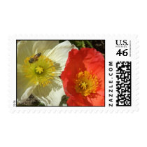 Flor y abeja sellos