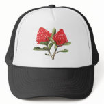 flora2 Waratah hats