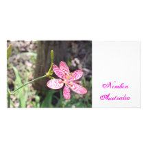 Flora 12 custom photo card
