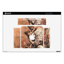 Flora by Lovis Corinth Decals For Mac Mini