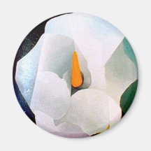 Flora & Fauna Fridge Magnets