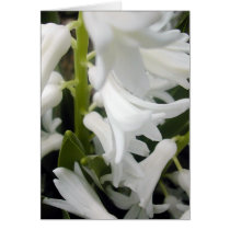 flora for spring #1 cards