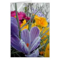 flora for spring #3 cards