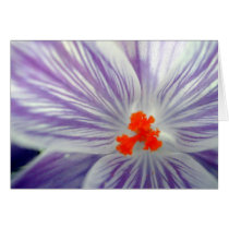 flora for spring #9 cards by mrpsiquedelico flora for spring #9 cards