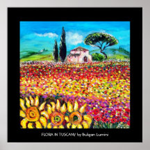 FLORA IN TUSCANY/ Fields ,Poppies and Sunflowers Posters