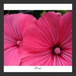 Flora posters