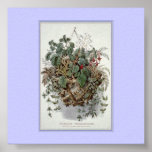 Flora Treasures Print