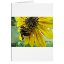 Floración de Buzy Tarjetas