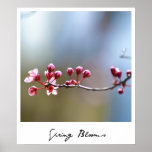 Floraciones de la primavera posters