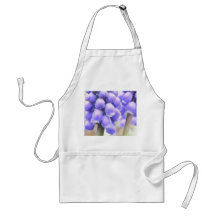Floraciones fragantes del Muscari Delantal