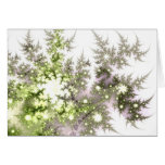 Floral 1 cards
