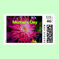 Floral 2010 025 Chrysanthemum The MUSEUM Zazzle Gi stamps