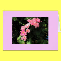 Floral All Occasion cards