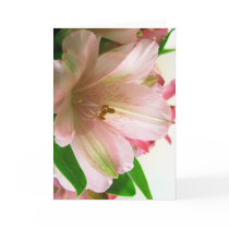 Floral All occassion cards