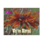 Floral Art Daisy Moving New Address Postcard
