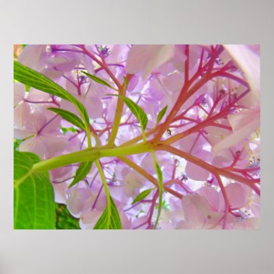 Floral Art Prints
