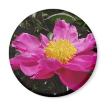 Floral Beauty Magnet
