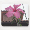 Floral Beauty mousepads