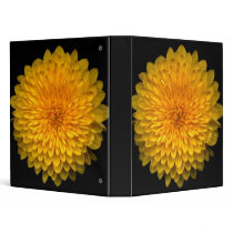 Floral Binders by jarthurdavis Floral Binders