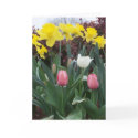 Floral Birthday Card