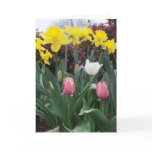 birthday, flower, flowers, love, floral,