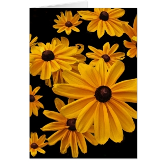 Floral Black Eyed Susan Flowers Blank Card