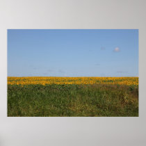 Floral Blur Poster