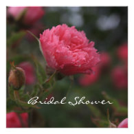 Floral bridal shower, pink wild rose flowers personalized announcement