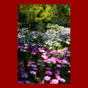 "Floral Bridge", Portrait Version posters by michaelsnydermusic "Floral Bridge", Portrait Version posters