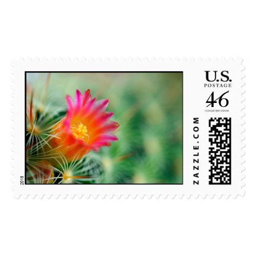 Floral Cactus - Postage Stamp