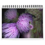 FLORAL CALENDAR