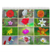Floral Calendar 2010