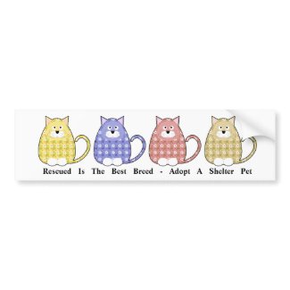 Floral Calico Kitty Rescue Bumper Sticker bumpersticker