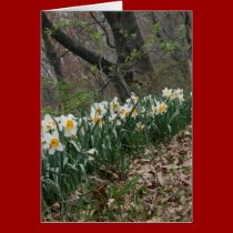 Floral Card cards
