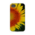 floral casematecase
