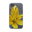 floral casematecase