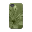 floral casematecase
