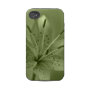 floral casematecase