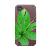 floral casematecase