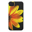floral iphone 4 tough cases