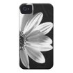 floral tough iphone 4 cases