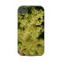 floral casematecase