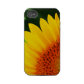 floral casematecase