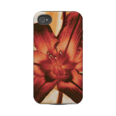 floral casematecase