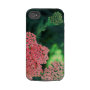 floral casematecase