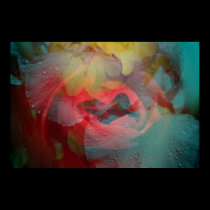 Floral collage poster posters