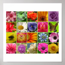 floral collage posters