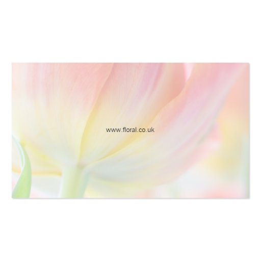 Floral - Colors of Spring Business Card (back side)